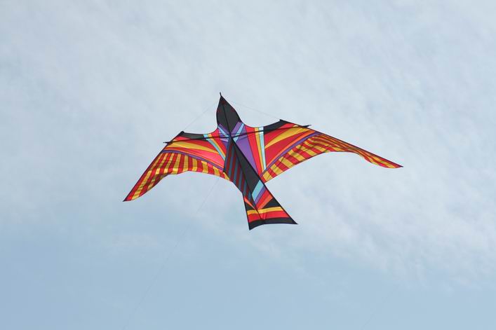 Grmetz 2009 - 09gro10img081.jpg