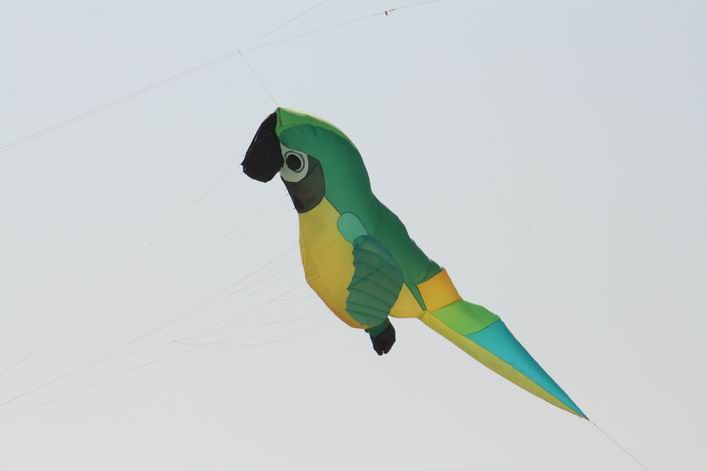 Grmetz 2009 - 09gro11img030.jpg