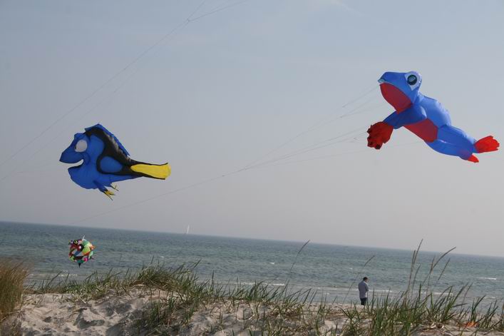 Grmetz 2009 - 09gro13img039.jpg