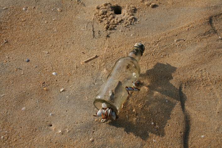 Kappad Beach, Calicut, Kerala, India - 10ker05img071.jpg